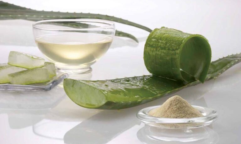 Aloe vera Benefits. Leaves, gel, and powder.