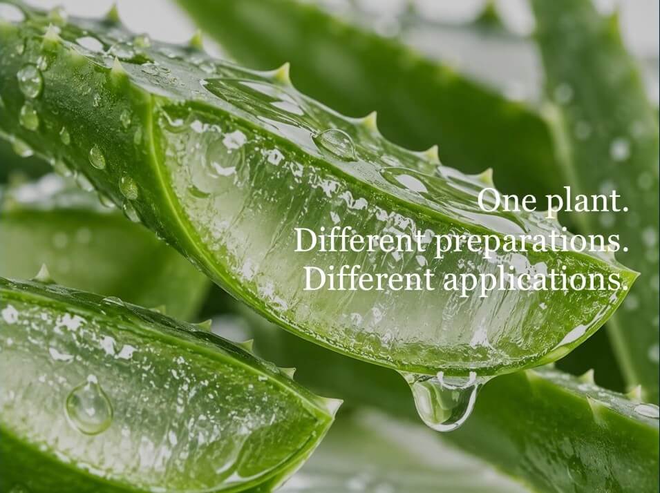 Aloe vera - One plant,
Different applications