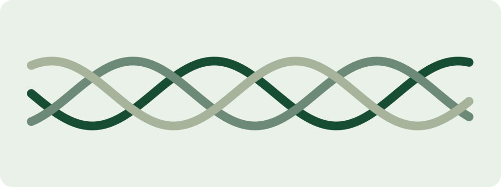 collagen three chain schematic